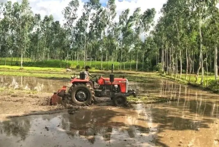 TAFE tractors in Africa and Bangladesh - image 3