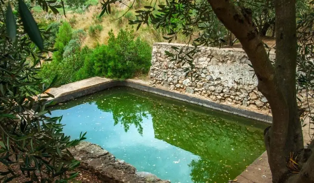 Water conservation practices for your farm - image 1