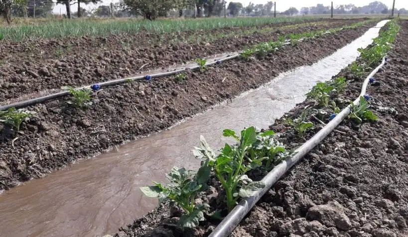 Water conservation practices for your farm - image 2