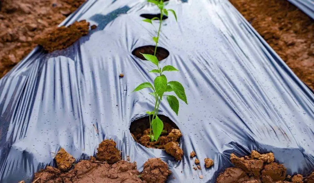 Water conservation practices for your farm - image 5