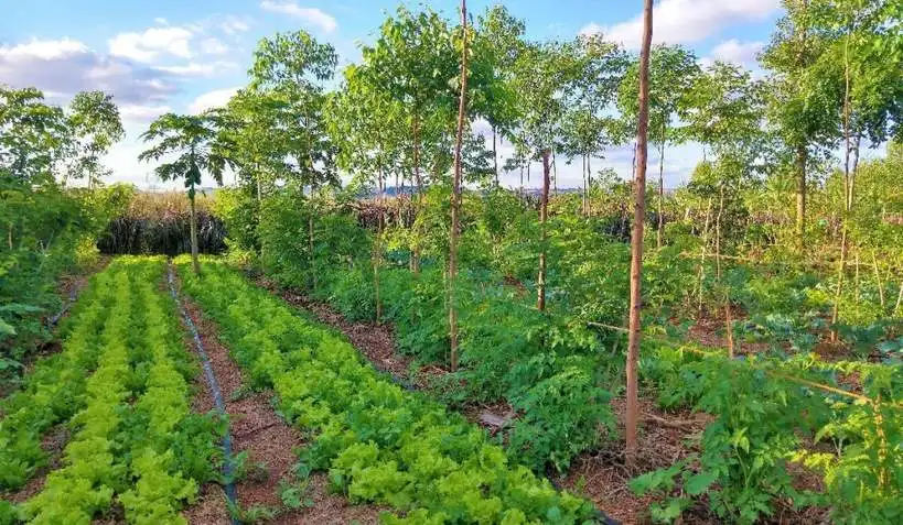 Water conservation practices for your farm - image 7