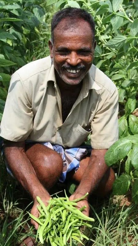 Farm mechanization for food security - image