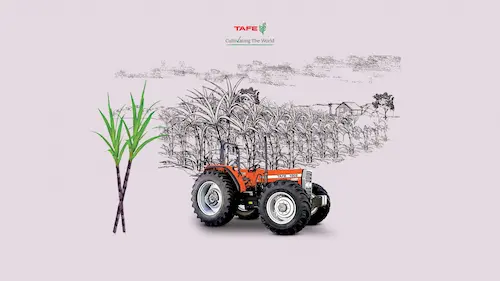 massey ferguson 9500