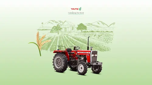 Tafe massey ferguson 246