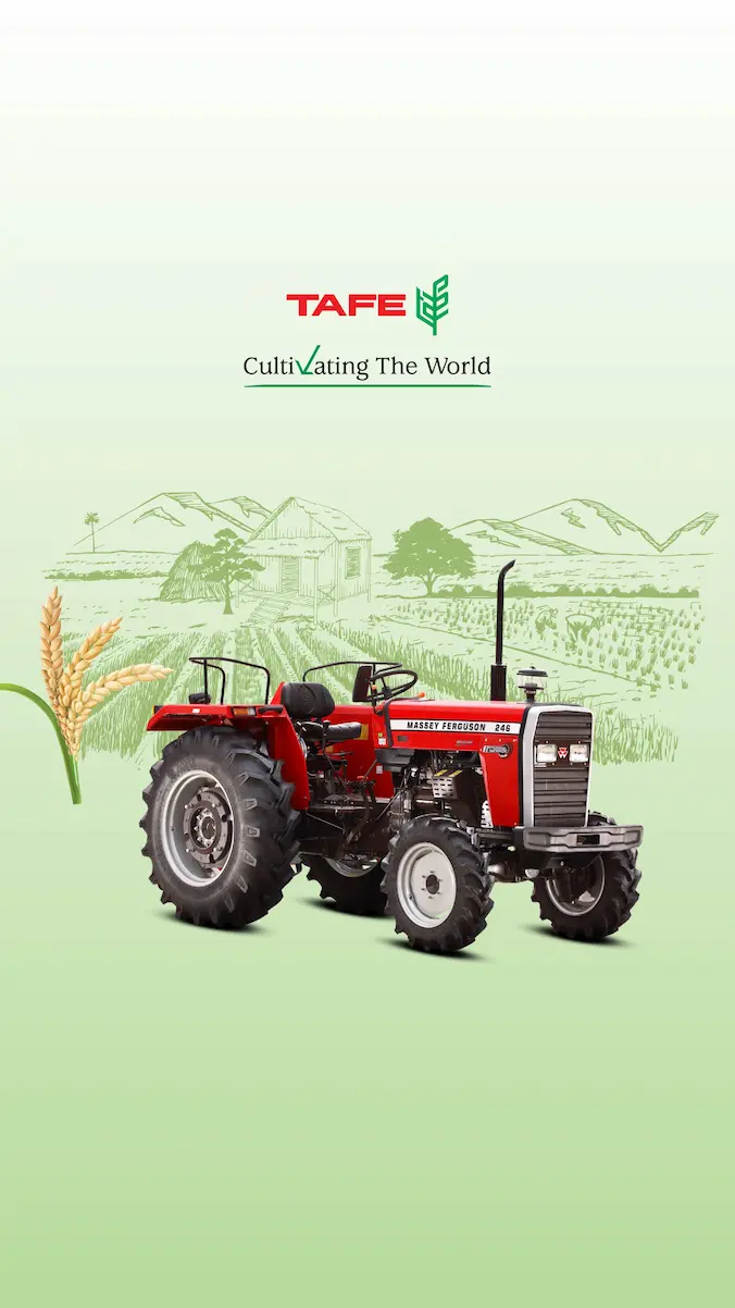 Tafe massey ferguson 246