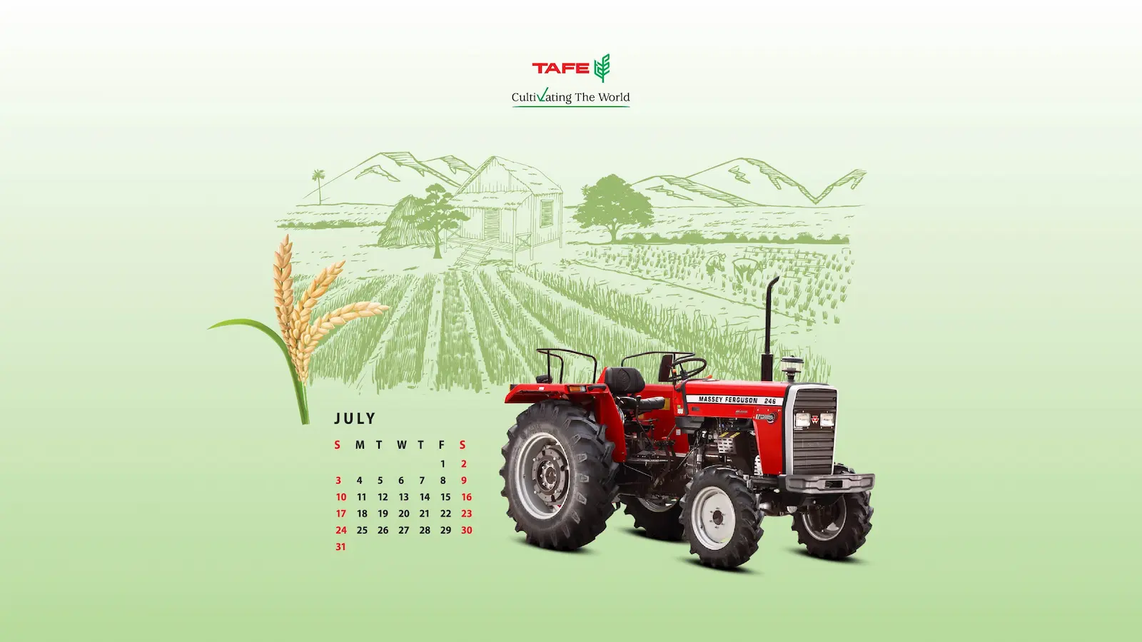 Tafe massey ferguson 246 calendar