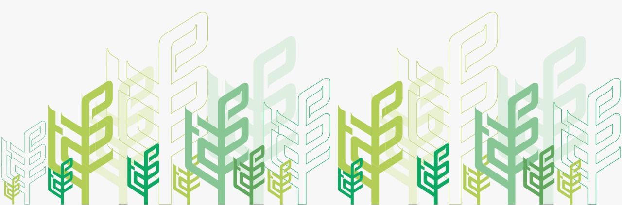 From the CEO's Desk
